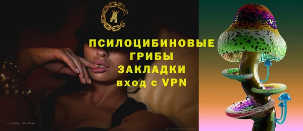 эйфоретик Богородицк