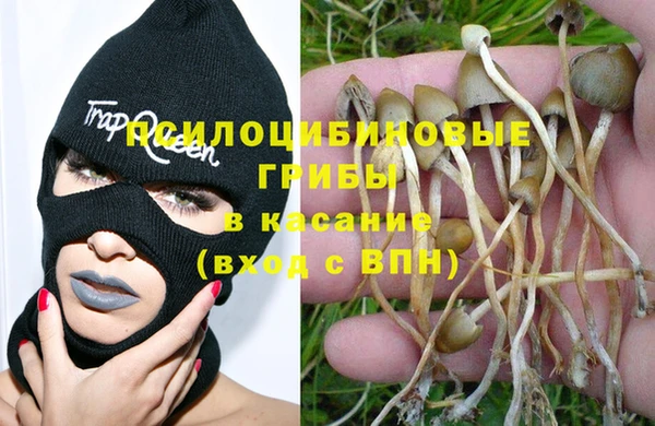 эйфоретик Богородицк