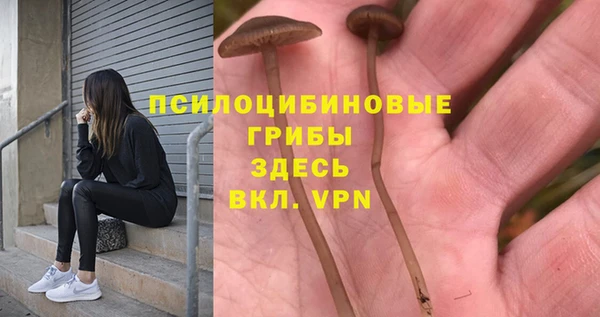 эйфоретик Богородицк