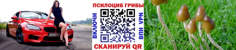 Галлюциногенные грибы мухоморы где продают Долгопрудный