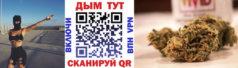 нарко площадка телеграм  Долгопрудный  Канабис сатива 